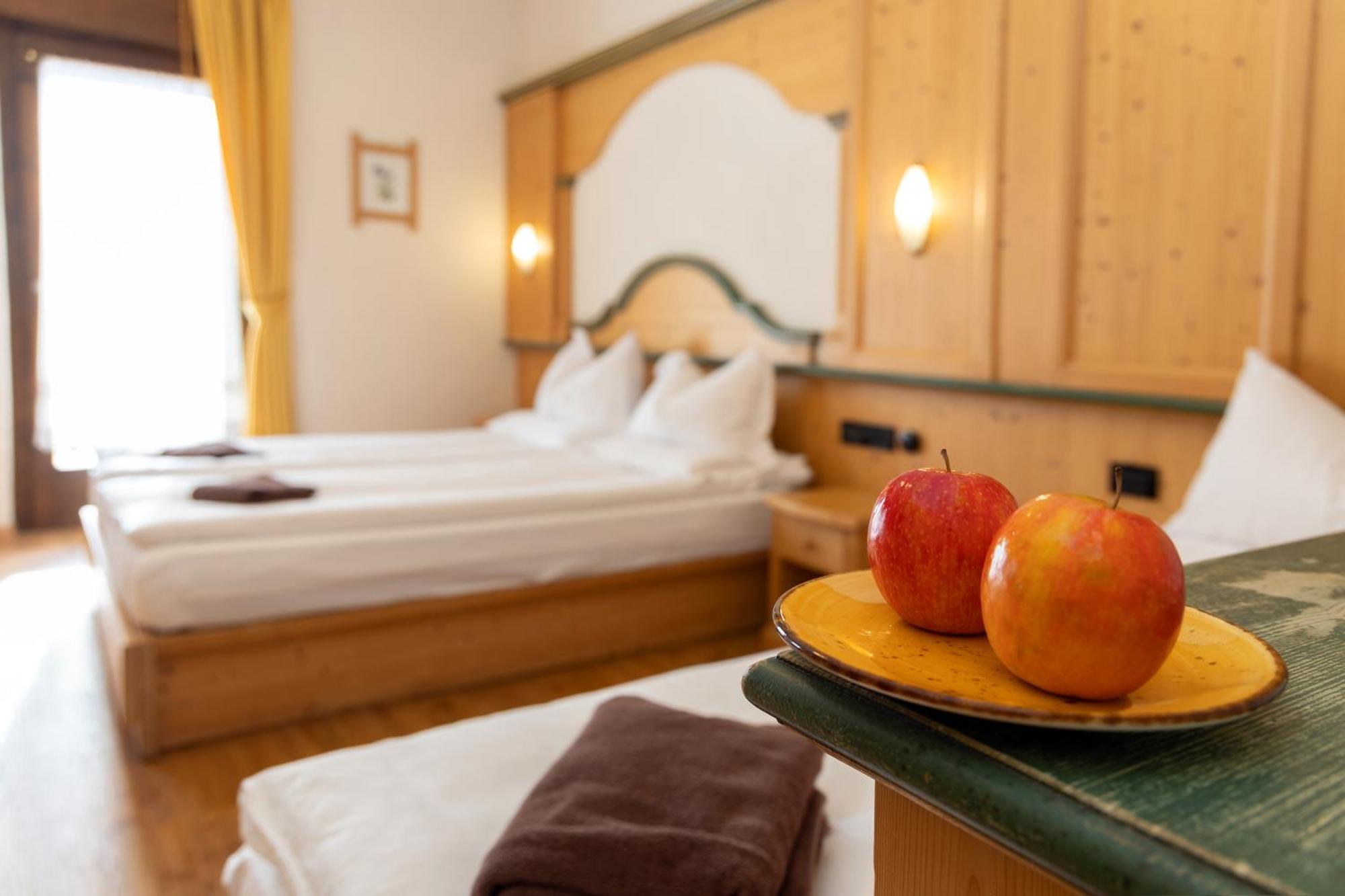 Hotel Venezia Passo Rolle
